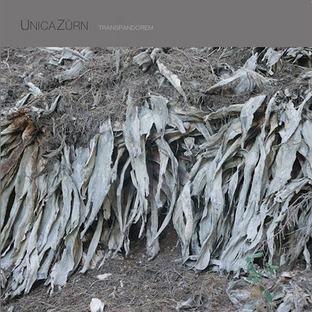 unicazurn transpandorem album